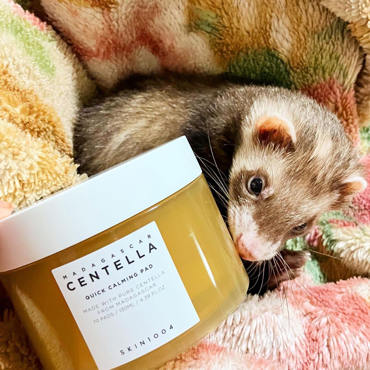 センテラ クイックカーミングパッド/SKIN1004/トナーパッドを使ったクチコミ（1枚目）