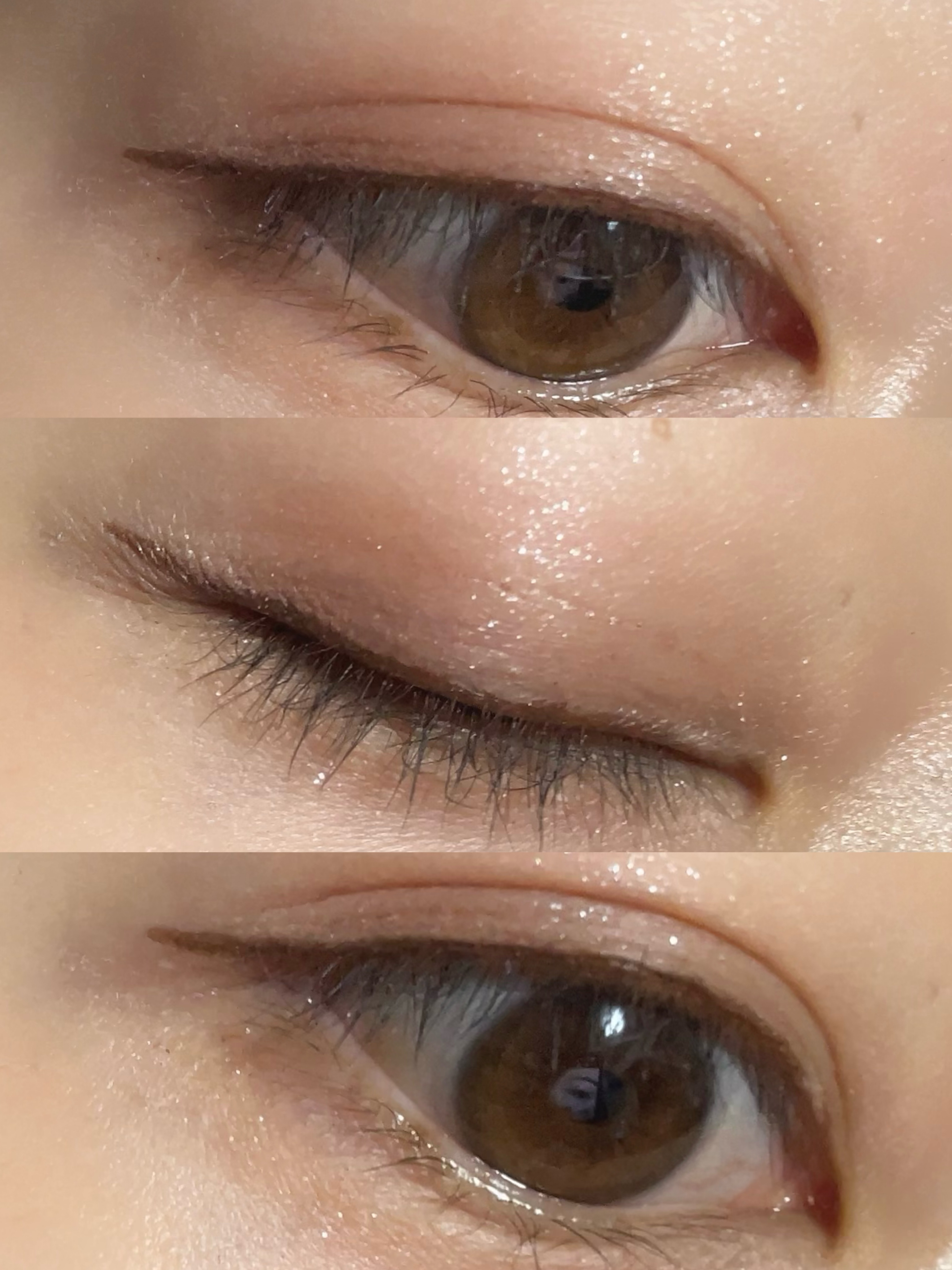 シャドウパレット/dasique/アイシャドウパレットを使ったクチコミ（2枚目）