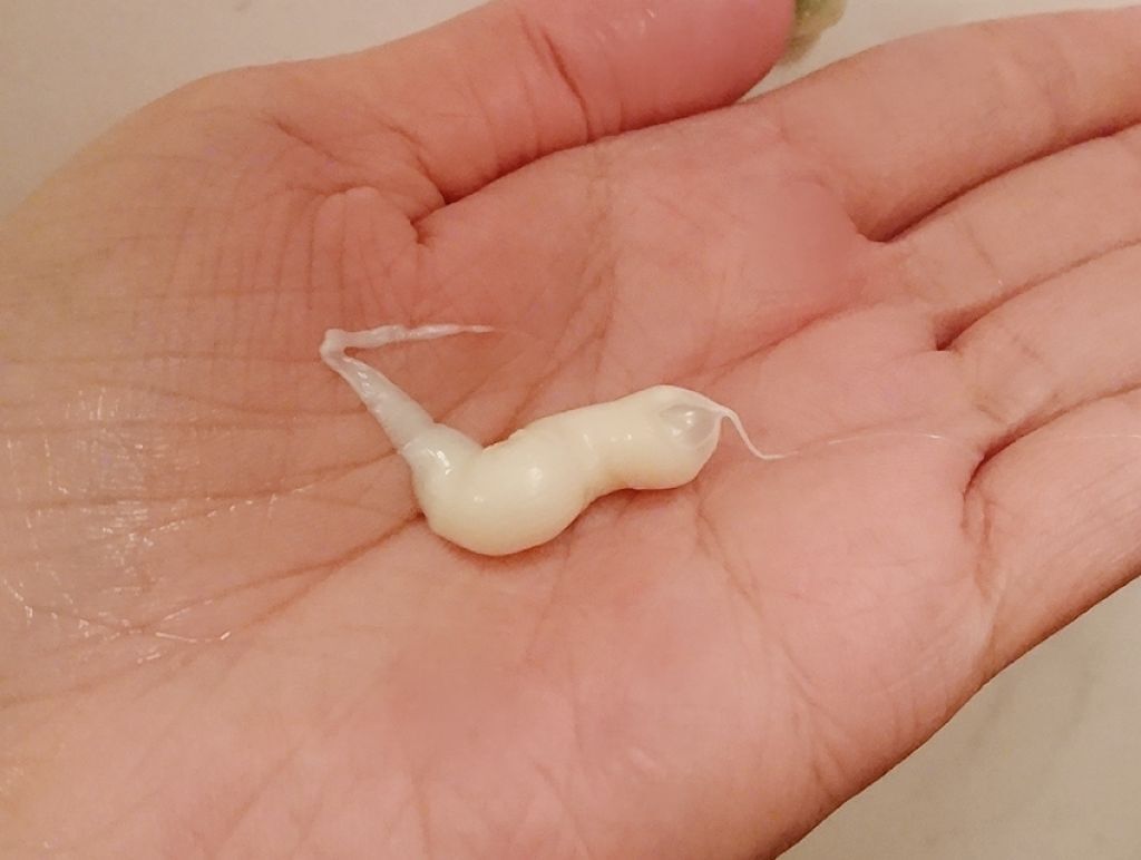 パーフェクトホイップn/SENKA(専科)/洗顔フォームを使ったクチコミ(2枚目)