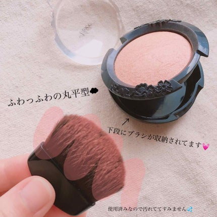 リシェ フォギーオン チークス/Visée/パウダーチークを使ったクチコミ(2枚目)