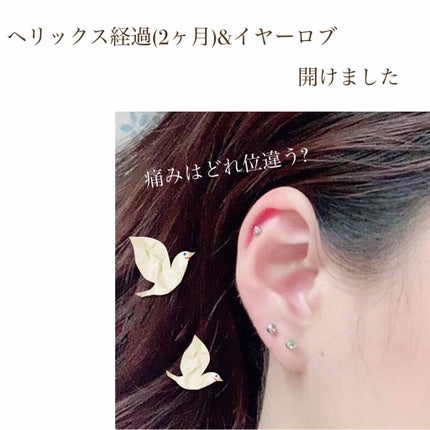 を使ったクチコミ(1枚目)