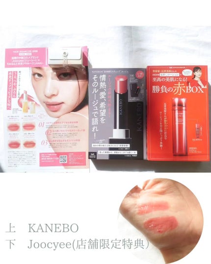 Ran|コスメをこよなく愛す人 on LIPS 「気がつけば12月・・・半袖でもいけるんじゃね?と余裕をかまして..」(7枚目)