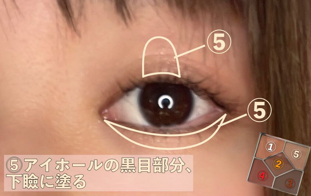 【旧】サンク クルール クチュール/Dior/アイシャドウパレットを使ったクチコミ(4枚目)