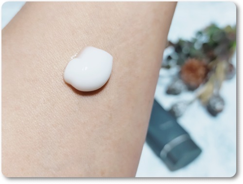 HITOKAN タイムレスリペアワンGR/fracora/オールインワン化粧品を使ったクチコミ（3枚目）