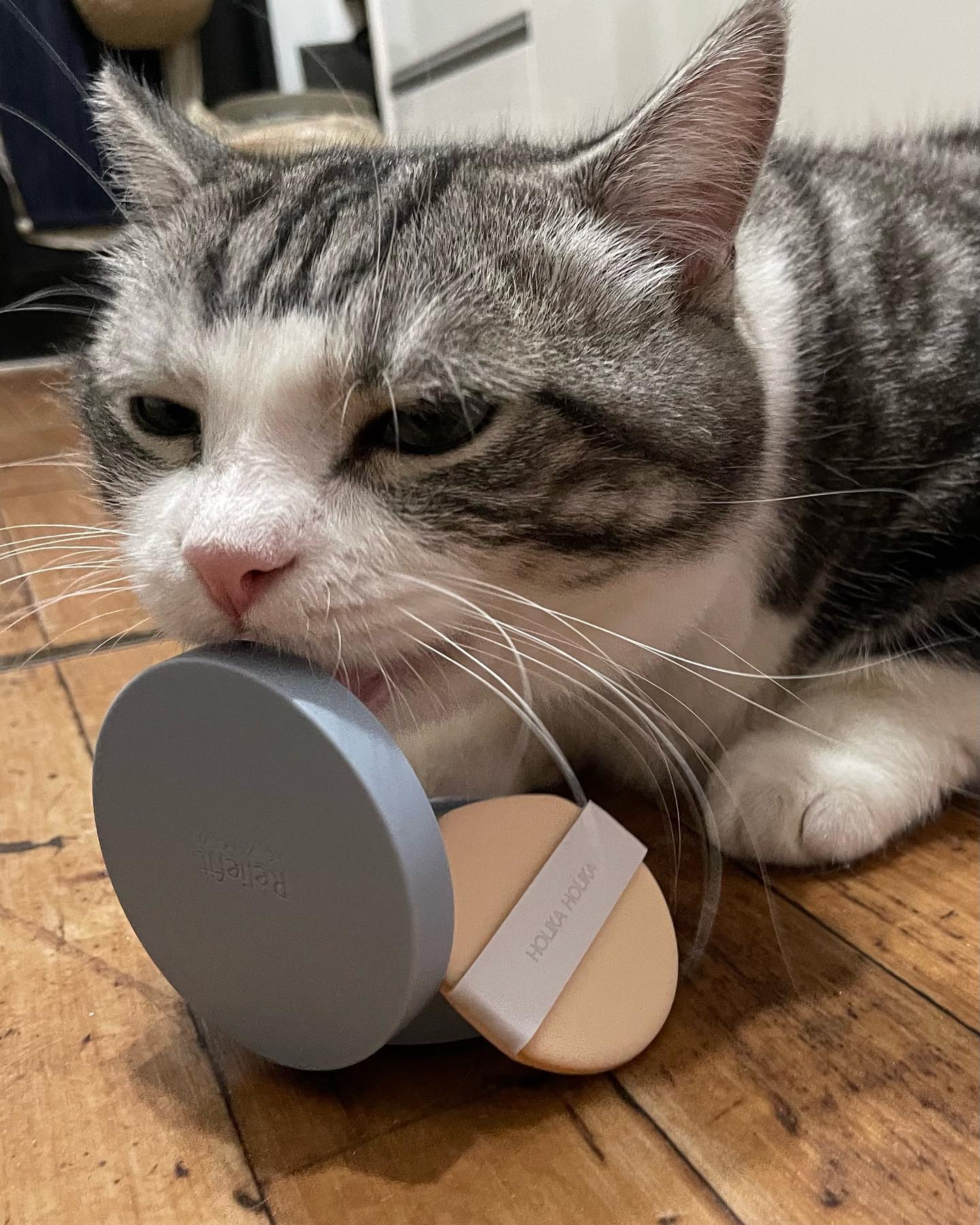 RELIFIT シカステイクッション/HOLIKA HOLIKA/クッションファンデーションを使ったクチコミ（2枚目）