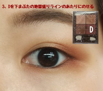 ノーズ&アイブロウパウダー/CEZANNE/パウダーアイブロウを使ったクチコミ(6枚目)