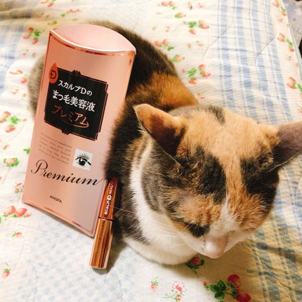 スカルプD ボーテ ピュアフリーアイラッシュセラム プレミアム/アンファー(スカルプD)/まつげ美容液を使ったクチコミ(1枚目)