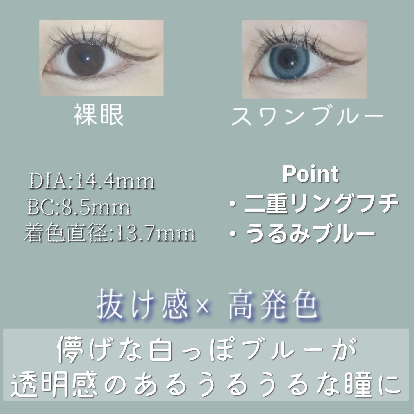 Angelcolor Bambi Series 1day /AngelColor/ワンデー(1DAY)カラコンを使ったクチコミ(2枚目)