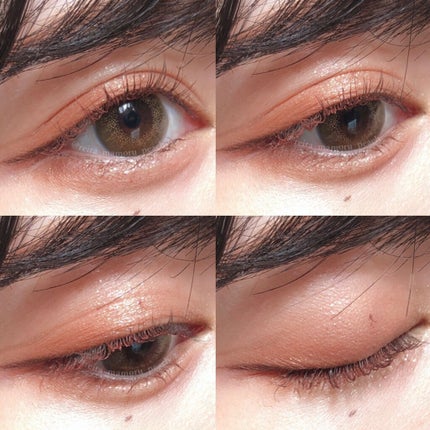 The Bella collection eyeshadow palette/CELEFIT/アイシャドウパレットを使ったクチコミ(5枚目)