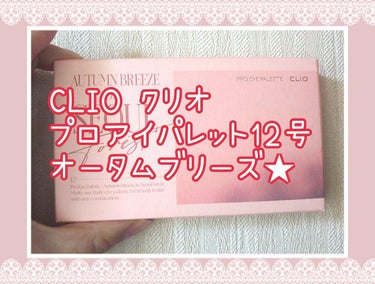 プロ アイ パレット/CLIO/パウダーアイシャドウを使ったクチコミ（1枚目）