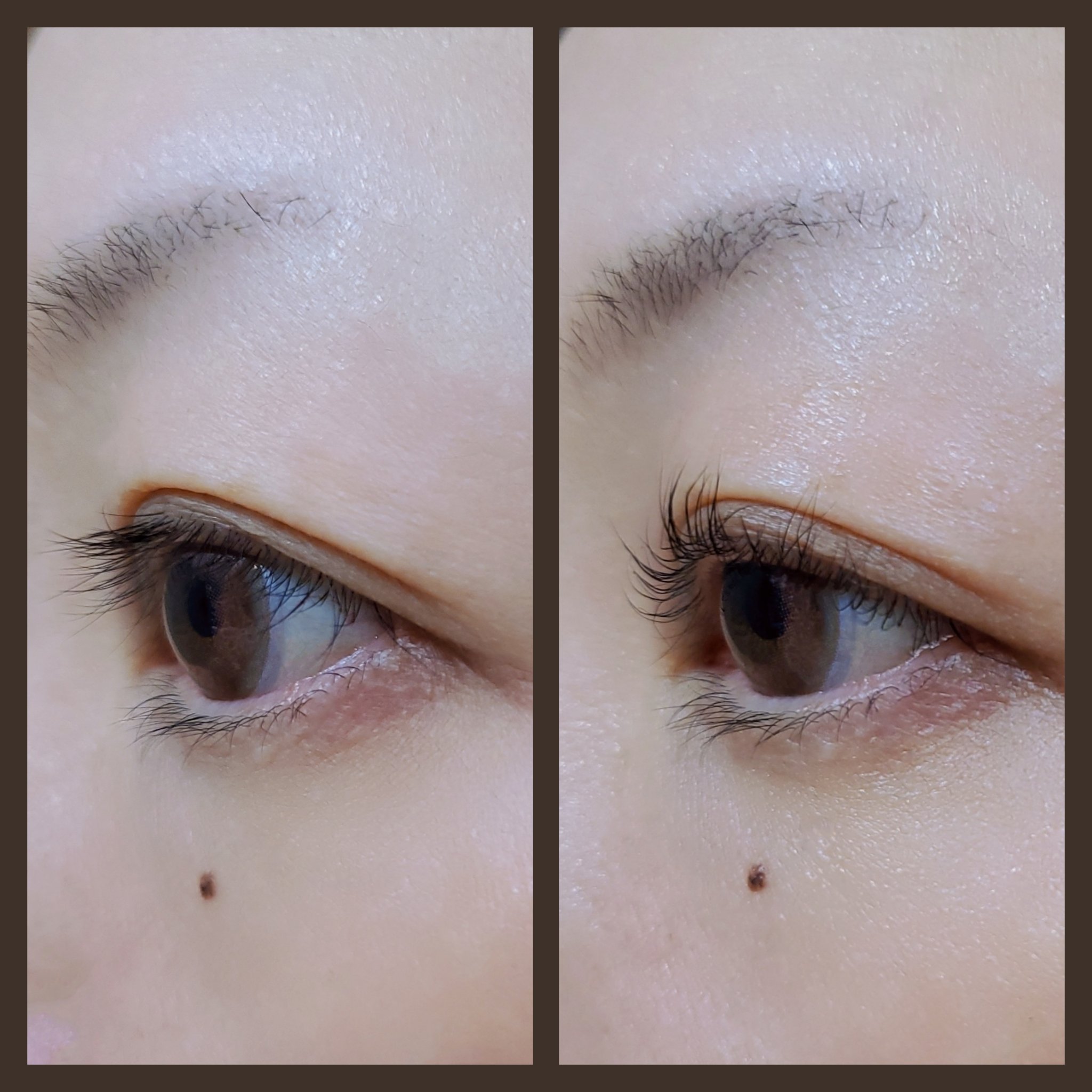 まつ毛パーマキット/LEPOREM/その他キットセットを使ったクチコミ（3枚目）