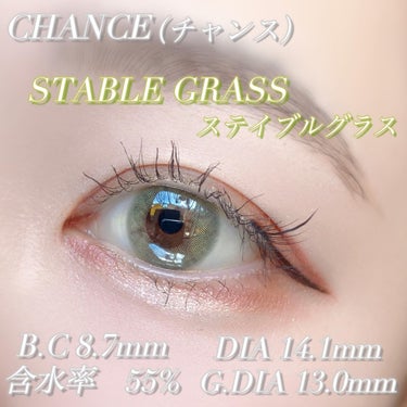 チャンス ワンデー ステイブルグラス/CHANCE/ワンデー（１DAY）カラコンの画像