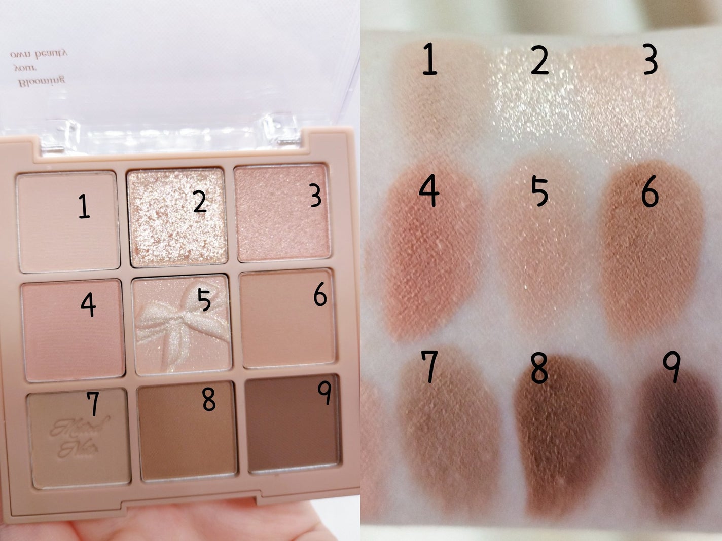 シャドウパレット/dasique/アイシャドウパレットを使ったクチコミ(6枚目)