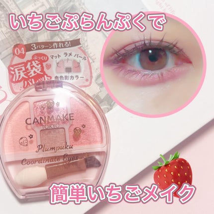 プランぷくコーデアイズ/キャンメイク/パウダーアイシャドウを使ったクチコミ(1枚目)