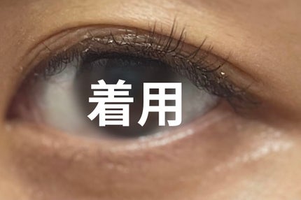 イージーラッシュ/ドーリーウインク/つけまつげを使ったクチコミ(3枚目)