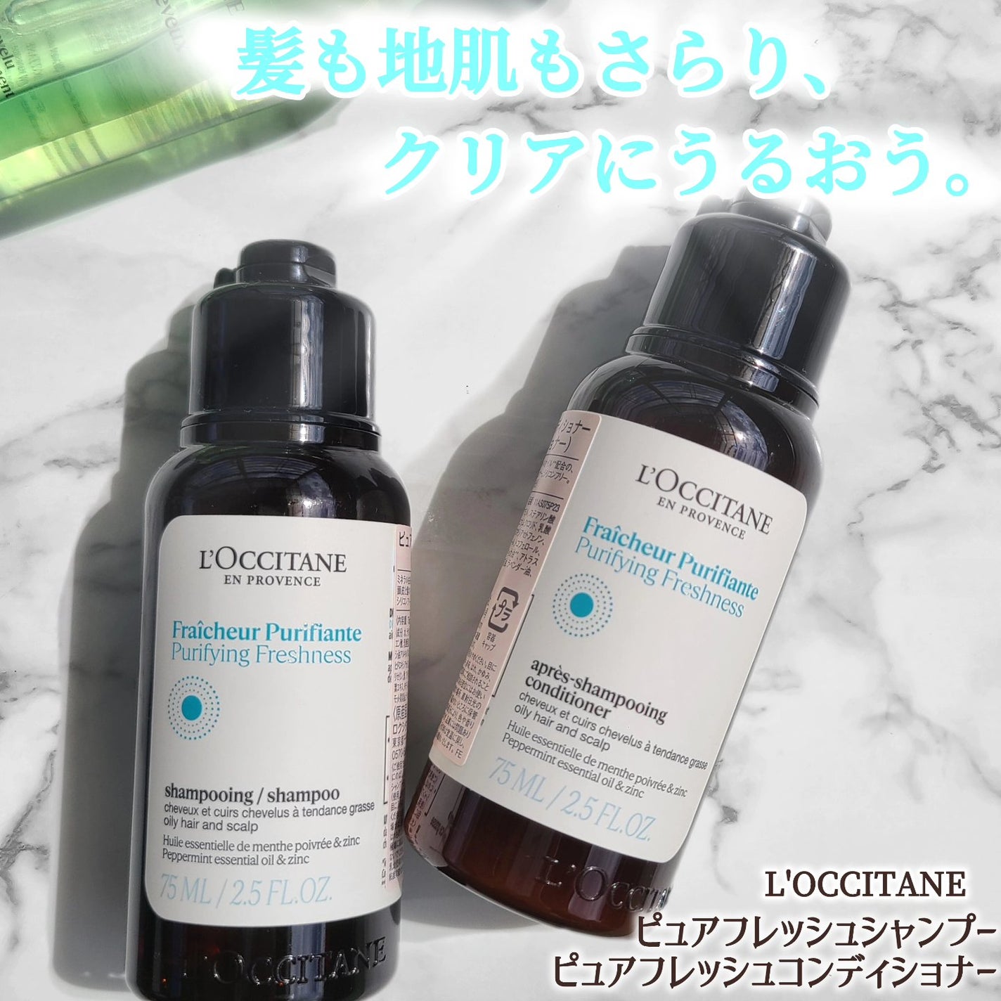 ファイブハーブス ピュアフレッシュネス シャンプー/コンディショナー/L'OCCITANE/市販シャンプーを使ったクチコミ(1枚目)