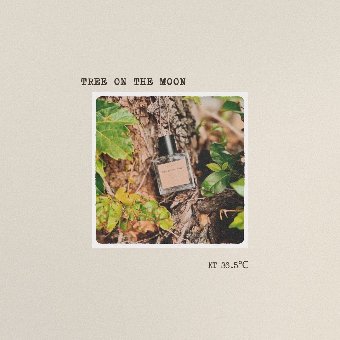 ツリーオンザムーン オードパルファム/KT36.5℃/香水(その他)を使ったクチコミ(1枚目)