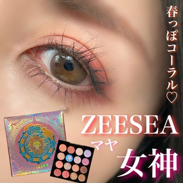 イメージ「マヤ」 アイシャドウパレット/ZEESEA/シングルアイシャドウを使ったクチコミ（1枚目）