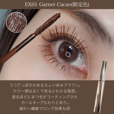 フラッタリングパワーアイラッシュ EX01 Garnet Cacao/LUNASOL/マスカラの画像