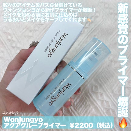 ウォンジョンヨ アクアグルー プライマー/Wonjungyo/化粧下地を使ったクチコミ(2枚目)