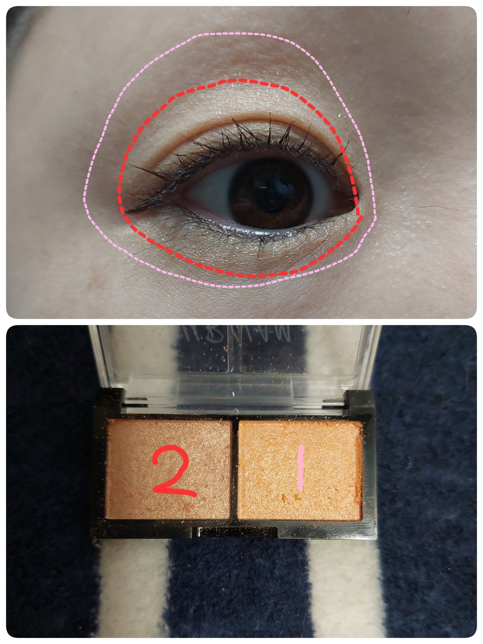 シルキーアイシャドウ/U R GLAM/アイシャドウパレットを使ったクチコミ（2枚目）