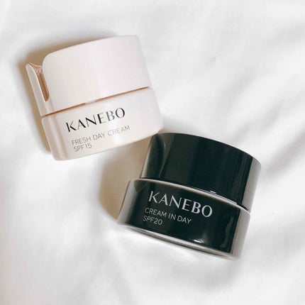 クリーム イン デイ/KANEBO/フェイスクリームを使ったクチコミ(1枚目)