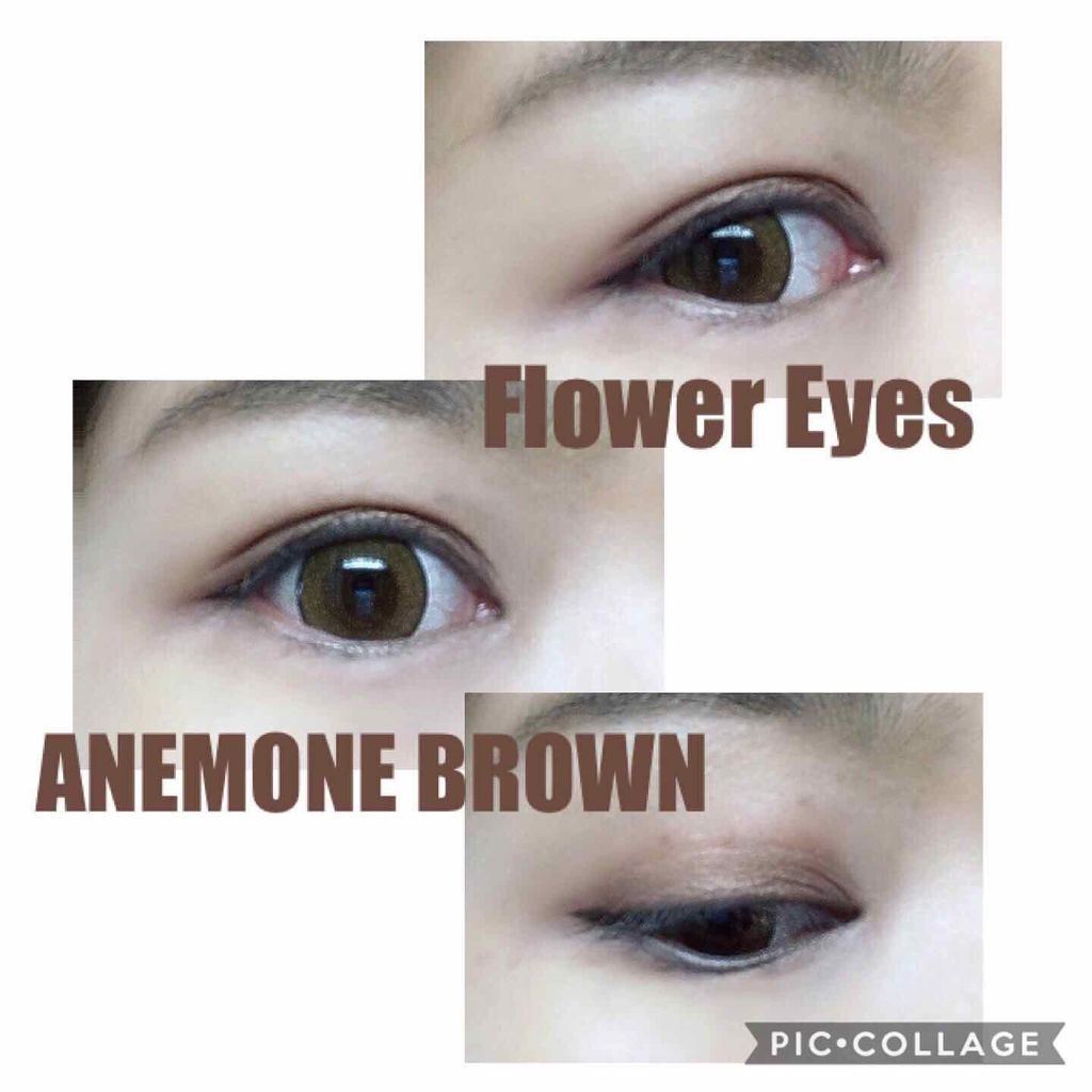 フラワーアイズ ワンデー/株式会社ビューフロンティア/ワンデー(1DAY)カラコンを使ったクチコミ(2枚目)