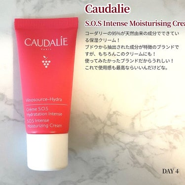 ボタニカル リペア リーブイン トリートメント/AVEDA/アウトバストリートメントを使ったクチコミ（2枚目）