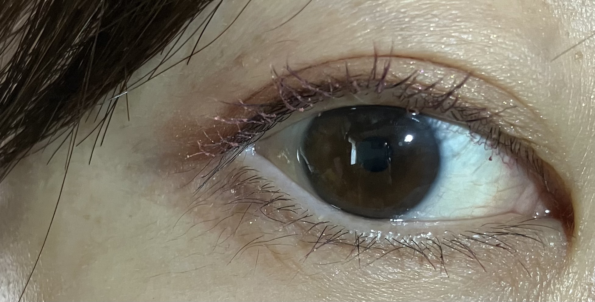 ラッシュエキスパンダー ロングロングロング ＥＸ （フローティング） 20 シャンパンピンク/MAJOLICA MAJORCA/マスカラを使ったクチコミ（3枚目）