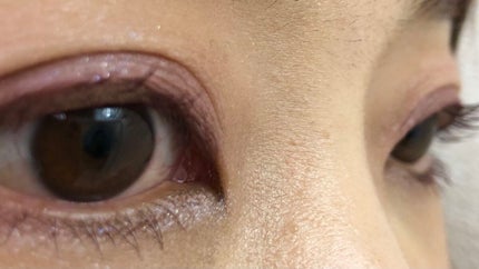 「塗るつけまつげ」ロングタイプ/デジャヴュ/マスカラを使ったクチコミ(5枚目)