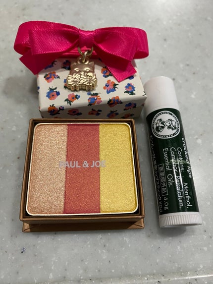 アイカラー CS(1/5限定発売)/PAUL & JOE BEAUTE/アイシャドウパレットを使ったクチコミ(2枚目)