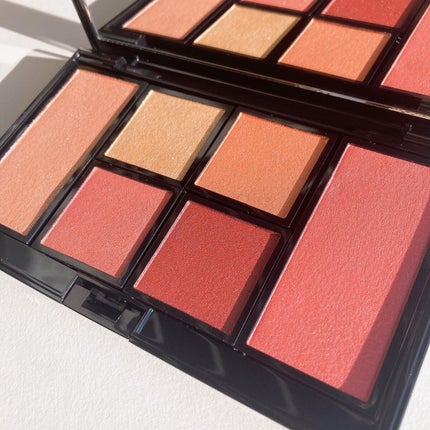 アイ & チーク コンパクトアディクション “ストーリー オブ ライフ”/ADDICTION/アイシャドウパレットを使ったクチコミ(3枚目)