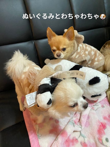 ル・ヌフ・ジバンシイ/GIVENCHY/アイシャドウパレットを使ったクチコミ(10枚目)