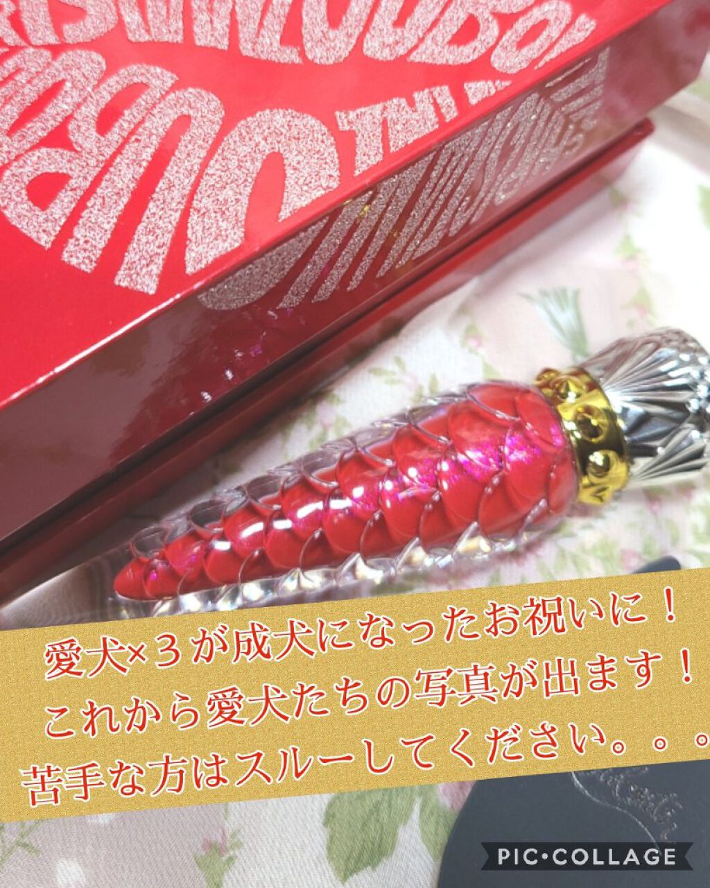 試してみた】ルビダズル リップカラー クリスチャン ルブタンの人気色