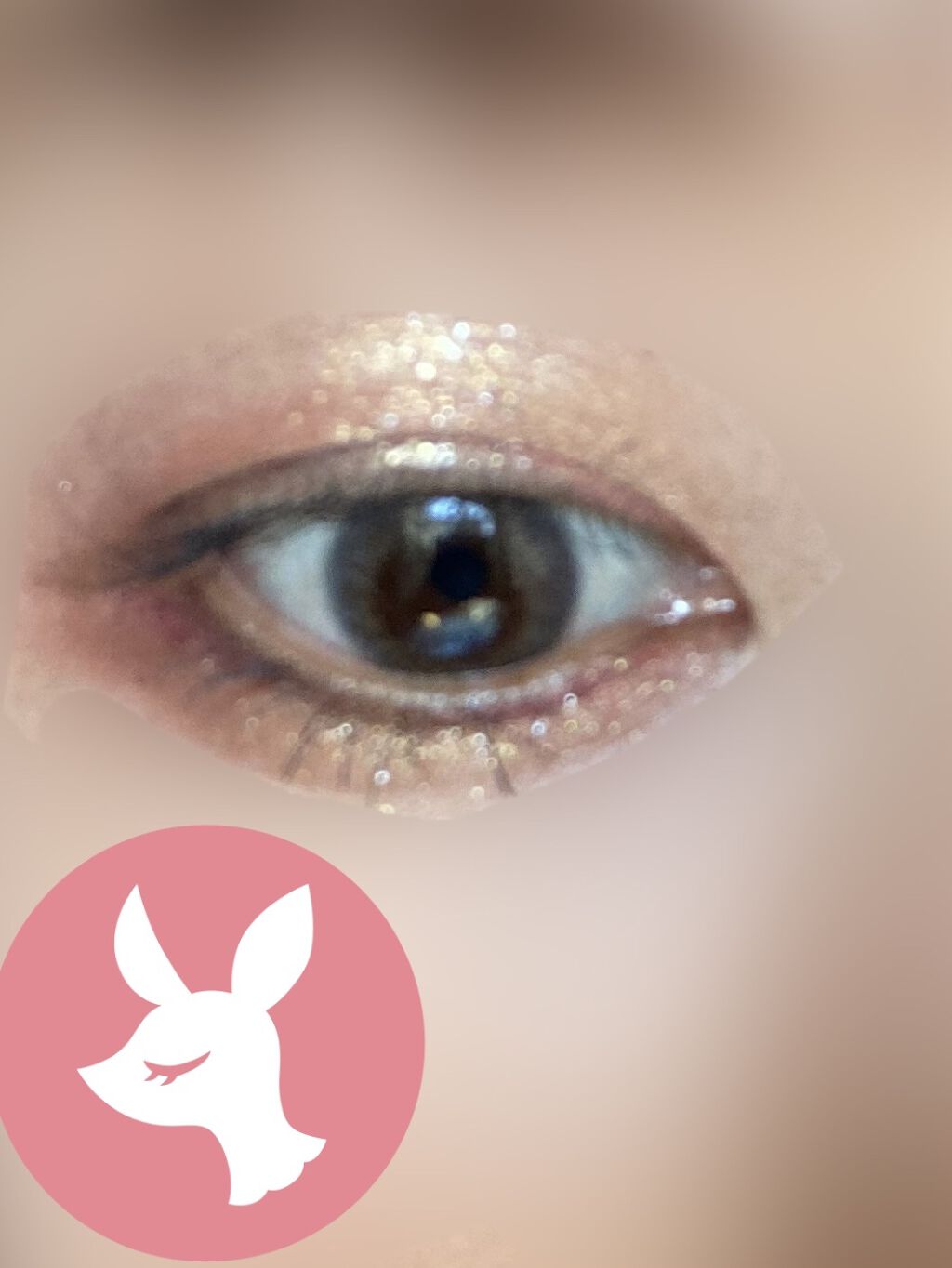 ロイヤルヴィンテージ アイズ/リンメル ロンドン/アイシャドウパレットを使ったクチコミ（2枚目）