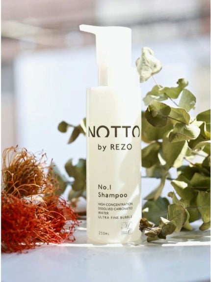 NOTTO(ノット) シャンプー/NOTTO/シャンプー・コンディショナーを使ったクチコミ(1枚目)