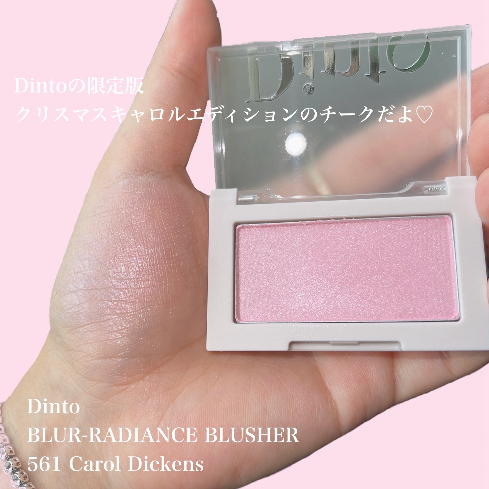 ブラーフィニシュシャドウパレット/Dinto/アイシャドウパレットを使ったクチコミ（2枚目）