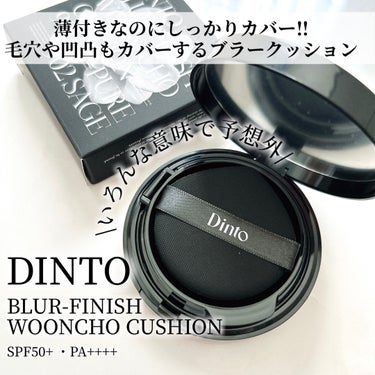 blur  finish  cushion/Dinto/クッションファンデーションを使ったクチコミ（2枚目）