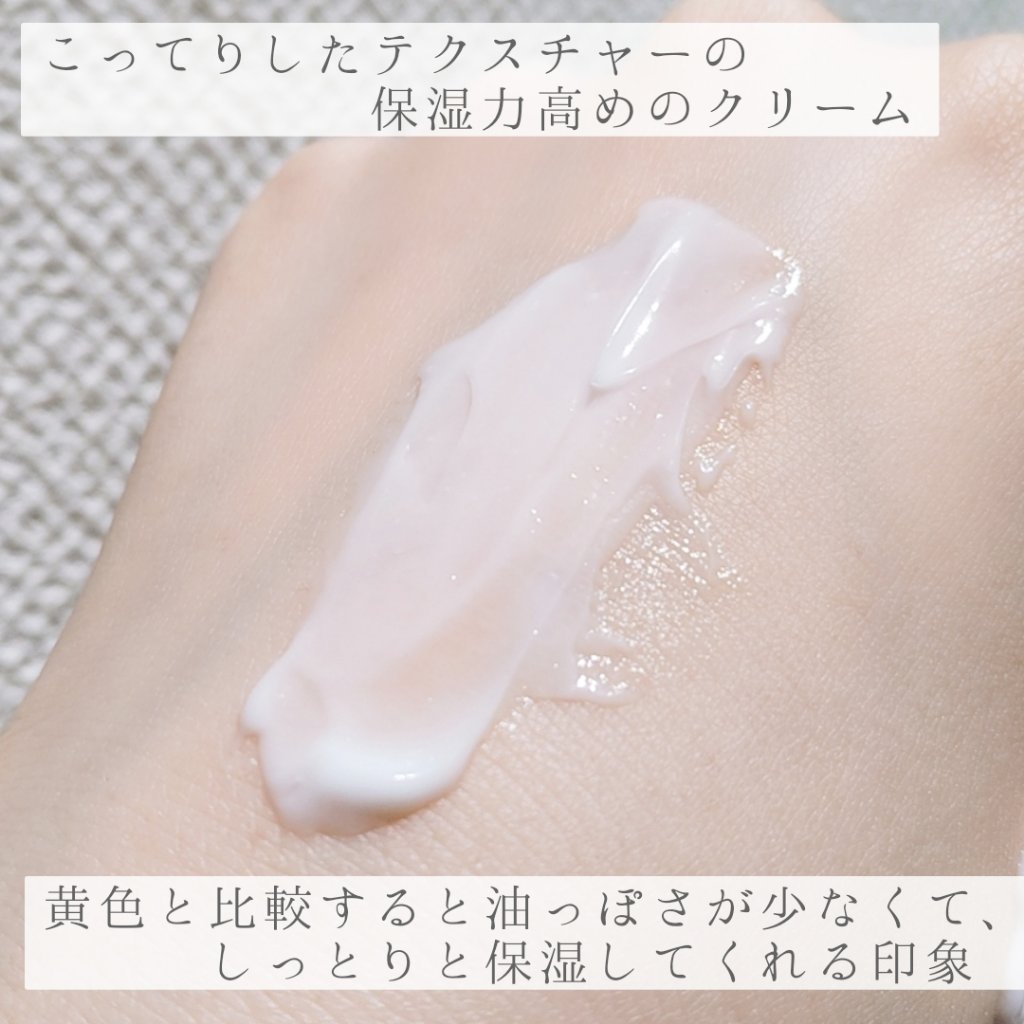 プレミアホワイト オールインワン/CANADEL/オールインワン化粧品を使ったクチコミ（3枚目）