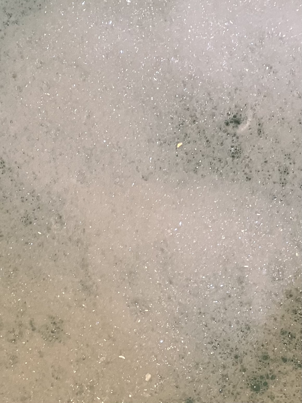 SHOWER GEL／Gingham/BATH&BODY WORKS/ボディソープを使ったクチコミ（3枚目）