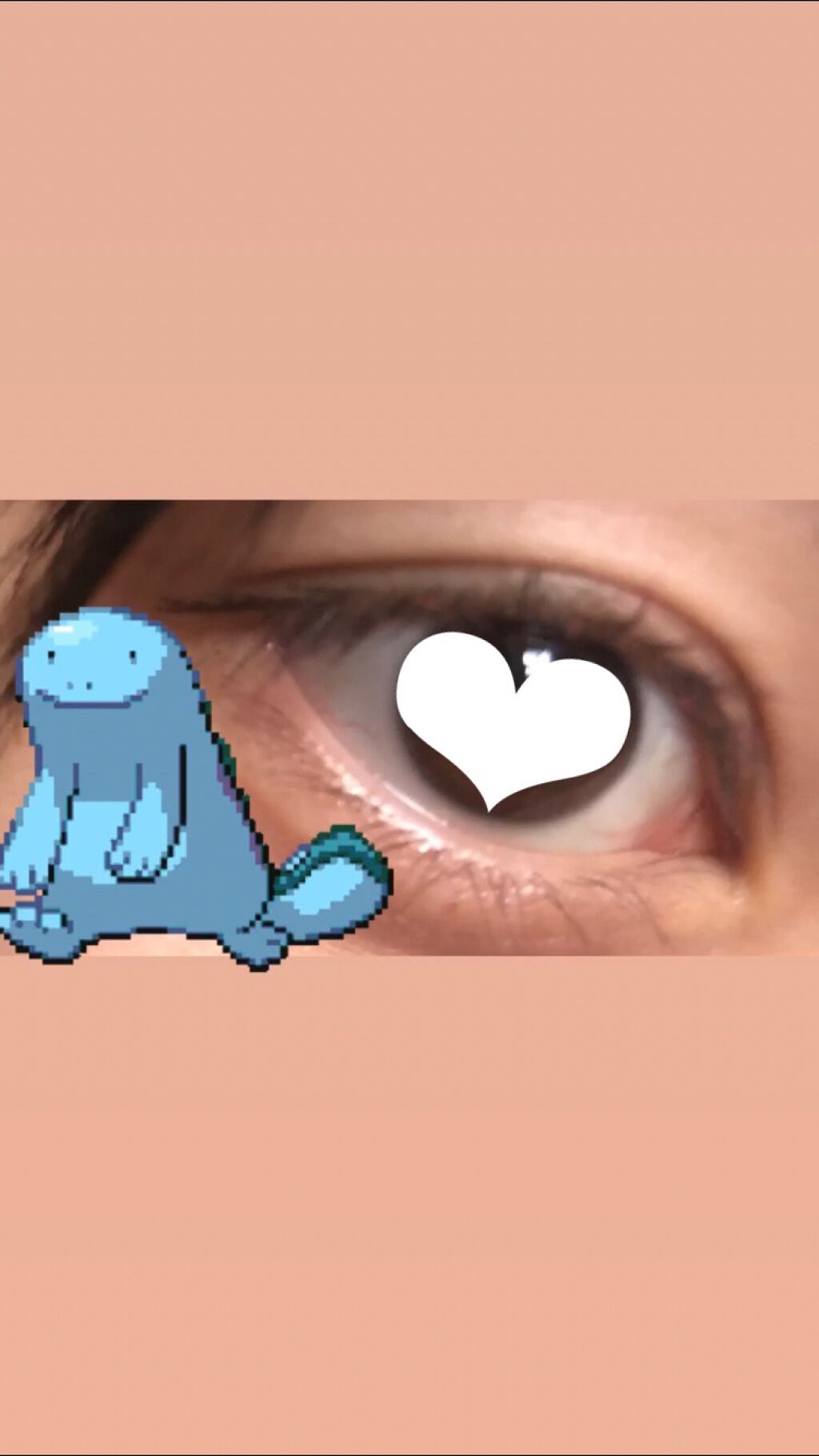 ZEESEA「ファンタジーパーク」12色アイシャドウパレット/ZEESEA/アイシャドウパレットを使ったクチコミ（1枚目）