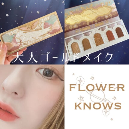 ユニコーンシリーズ アイシャドウパレット ♯ドリーミーパリ/FlowerKnows/アイシャドウパレットを使ったクチコミ(1枚目)