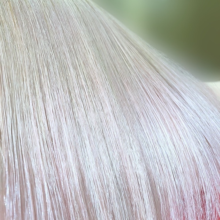 スリープテック リペア シャンプー／ヘアトリートメント シャンプー本体 340ml/NeNe Night/市販シャンプーを使ったクチコミ（3枚目）