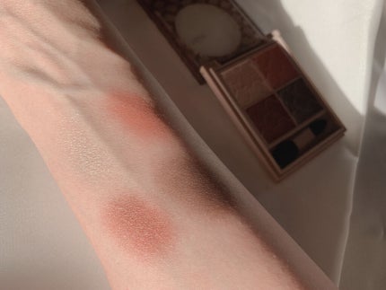 グロッシーリッチ アイズ N/Visée/アイシャドウパレットを使ったクチコミ(4枚目)