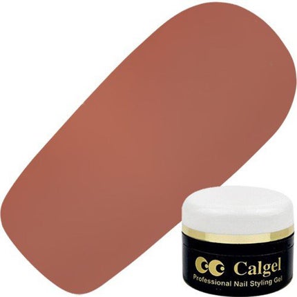 ヘーゼルナッツ