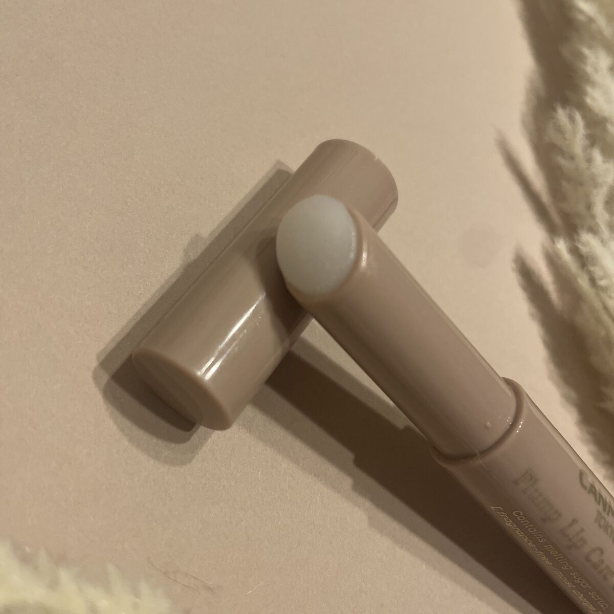 プランプリップケアスクラブ/キャンメイク/リップスクラブを使ったクチコミ（2枚目）