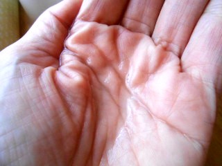 クラウドオールウェイズオン ハイドログロー メイクキー プミスト/FRESHO2/フィックスミストを使ったクチコミ（3枚目）