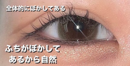 1DAY Refrear elebelle/Refrear/ワンデー(1DAY)カラコンを使ったクチコミ(4枚目)