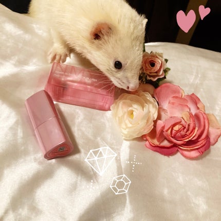 タッチインソール チークブラッシャー/touch in SOL /ジェル・クリームチークを使ったクチコミ(6枚目)