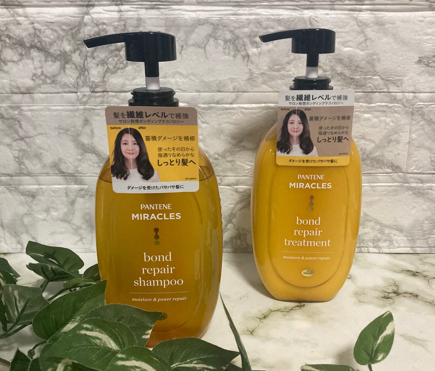 ãã³ããªãã¢ã·ãªãŒãº ã¢ã€ã¹ãã£ãŒïŒãã¯ãŒãªã㢠ã·ã£ã³ããŒïŒããªãŒãã¡ã³ã/ãã³ããŒã³/åžè²©ã·ã£ã³ããŒã䜿ã£ãã¯ãã³ãïŒ1æç®ïŒ